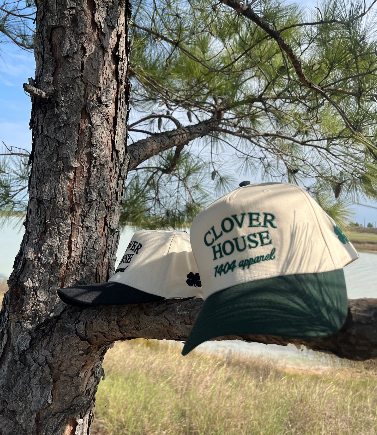 Green Clover House Hat